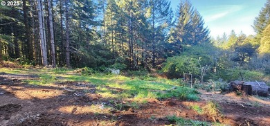 Unlock the potential of this 5.5-acre Brookings property - photo 9