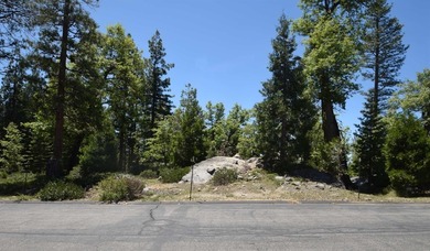 Shaver Lake Lot Sale Pending in Shaver Lake California
