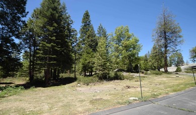 Shaver Lake Lot Sale Pending in Shaver Lake California