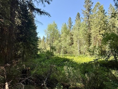 Lake Lot For Sale in Cascade, Idaho