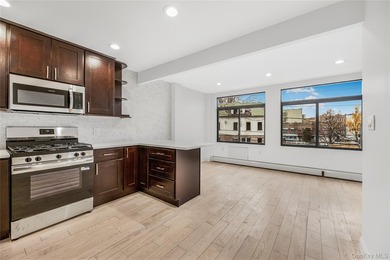 A rare opportunity to own a luxury new construction two-family - photo 5