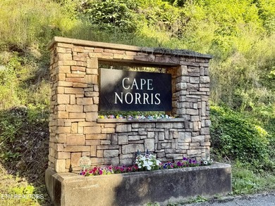 Gorgeous Main Channel Norris Lake Views! Welcome to lake living - photo 1