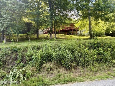 Gorgeous Main Channel Norris Lake Views! Welcome to lake living - photo 6