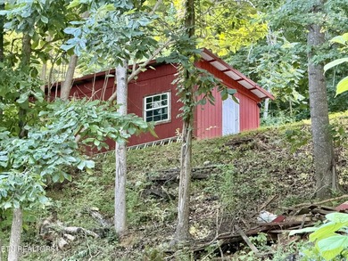 Gorgeous Main Channel Norris Lake Views! Welcome to lake living - photo 8