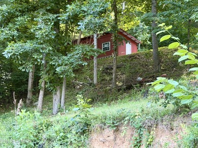 Gorgeous Main Channel Norris Lake Views! Welcome to lake living - photo 9