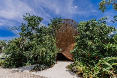 Nestled within the lush, protected jungle habitat of Aldea Zama - photo 31