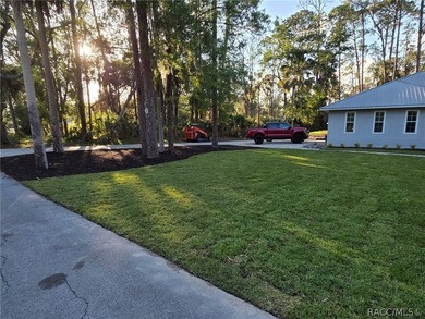 Beautiful 3 bedroom, 2.5 bath home located in the historic town - photo 33