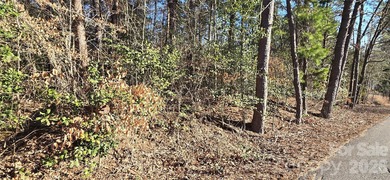 Lake Norman Lot For Sale in Catawba North Carolina
