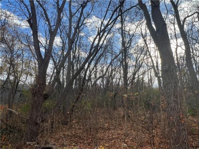 Lake Lot Off Market in Rushville, New York