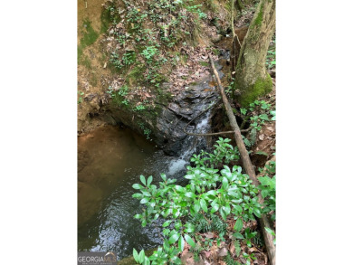 (private lake, pond, creek) Acreage For Sale in Alto Georgia