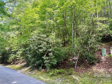 Hogback Lake Lot For Sale in Sapphire North Carolina