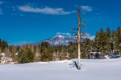 Welcome to 3017 S Tourmaline Dr # 11, Flagstaff, AZ 86005- Tree - photo 50