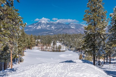 Welcome to 3017 S Tourmaline Dr # 11, Flagstaff, AZ 86005- Tree - photo 51