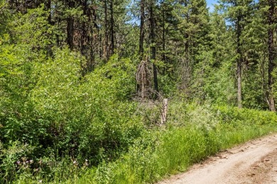 Lake Lot For Sale in Cascade, Idaho