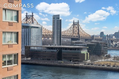 East River Condo For Sale in New York New York