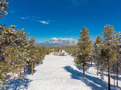 Welcome to 3017 S Tourmaline Dr # 11, Flagstaff, AZ 86005- Tree - photo 52