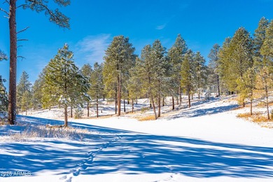 Welcome to 3017 S Tourmaline Dr # 11, Flagstaff, AZ 86005- Tree - photo 53