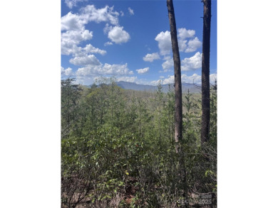 Lake Lot For Sale in Lake Lure, North Carolina