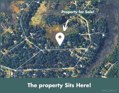 Build or place your home on this almost half-acre (0.47+/- acre) - photo 11