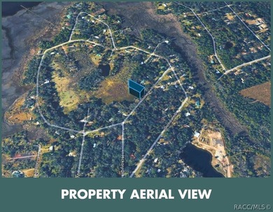 Build or place your home on this almost half-acre (0.47+/- acre) - photo 12