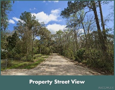 Build or place your home on this almost half-acre (0.47+/- acre) - photo 16