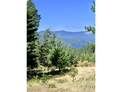 (private lake, pond, creek) Lot For Sale in Harrison Idaho