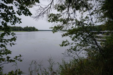 Lake Lot Off Market in Necedah, Wisconsin