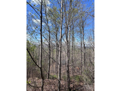 Lake Lot For Sale in Lake Lure, North Carolina