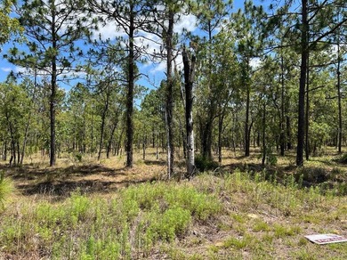 Bonable Lake Lot For Sale in Dunnellon Florida