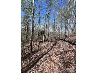 Welcome to Vista at Bills Mountain, Lot 158! Located in Lake - photo 3