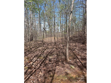Welcome to Vista at Bills Mountain, Lot 158! Located in Lake - photo 4