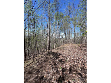 Welcome to Vista at Bills Mountain, Lot 158! Located in Lake - photo 5