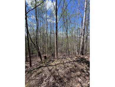 Welcome to Vista at Bills Mountain, Lot 158! Located in Lake - photo 6