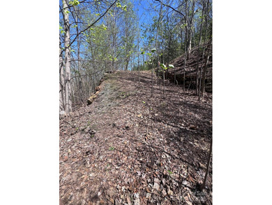Welcome to Vista at Bills Mountain, Lot 158! Located in Lake - photo 7