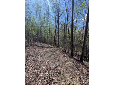 Welcome to Vista at Bills Mountain, Lot 158! Located in Lake - photo 8