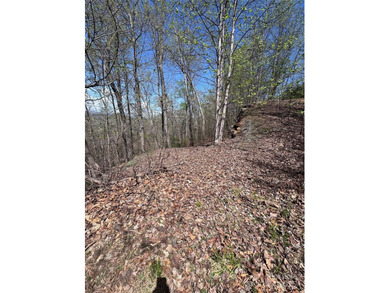 Welcome to Vista at Bills Mountain, Lot 158! Located in Lake - photo 10