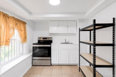 Detached Bronx multifamily with oversized lot, parking, income - photo 17