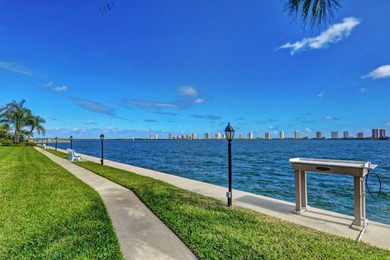 Enjoy breathtaking million-dollar Intracoastal and park views - photo 33