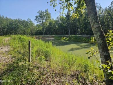 (private lake, pond, creek) Acreage For Sale in Grand Ridge Florida