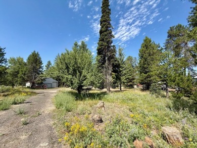 Lake Lot For Sale in Donnelly, Idaho