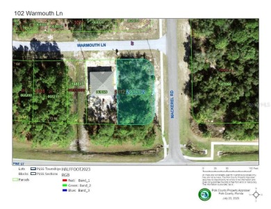 Lake Lot For Sale in Kissimmee, Florida
