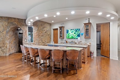 Experience an elevated lifestyle in this expansive, single-level - photo 11
