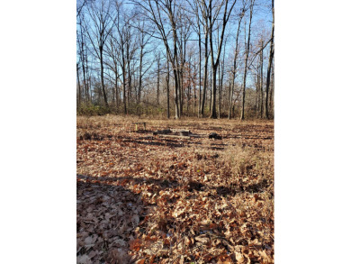 Madison Lake  Lot For Sale in London Ohio