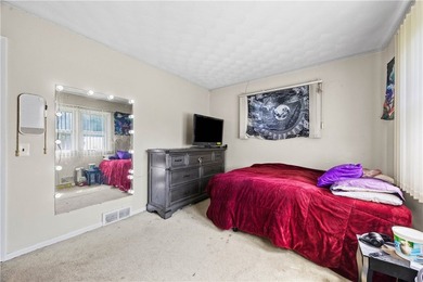 Updated ranch living in the Irondequoit 14617 area, tucked near - photo 28