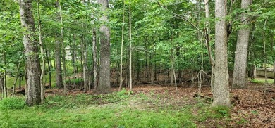 Nice .23 acre lot located in Fairfield Glade; Tennessee's Golf - photo 4