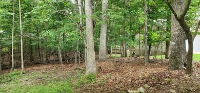 Nice .23 acre lot located in Fairfield Glade; Tennessee's Golf - photo 5