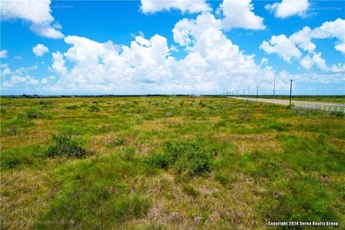 12 acres (two 6-acre parcels: 2502 & 2542 Tx SH-188) for $360K- - photo 9