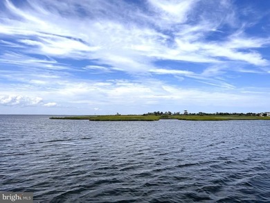 Ziman Development's latest Loveladies Harbor estate offering - photo 7