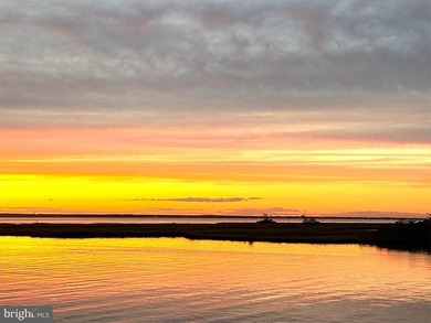 Ziman Development's latest Loveladies Harbor estate offering - photo 8