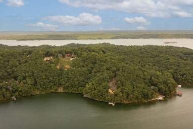 Watts Bar Lake Commercial For Sale in Spring City Tennessee